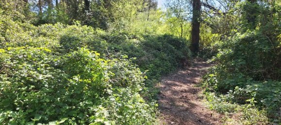 3 Schlafzimmer Haus in Vienne, France, Nr. 338922 14