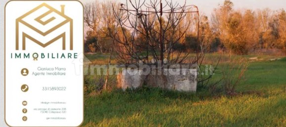 4 bedrooms Villa in Cutrofiano, Italy No. 174777 7