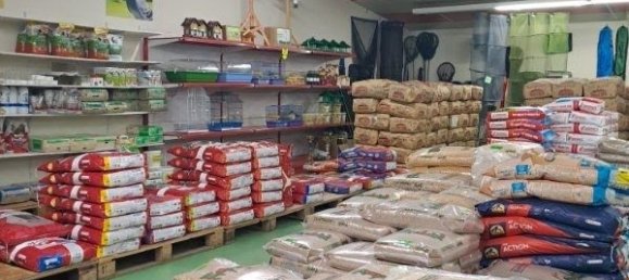  عقار تجاري في Fechain, France 300متر مربع رقم 256333 8