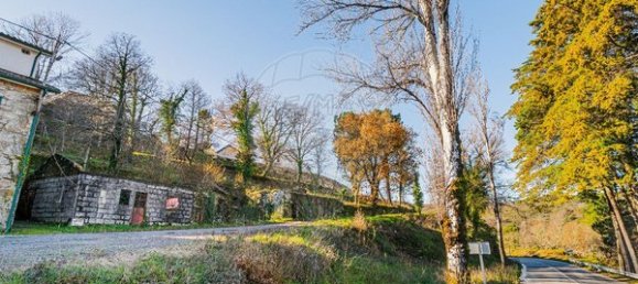 4 chambres Maison à Montalegre, Portugal No. 173678 6