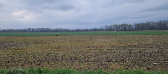  Land in Grafenworth, Austria No. 130487 4