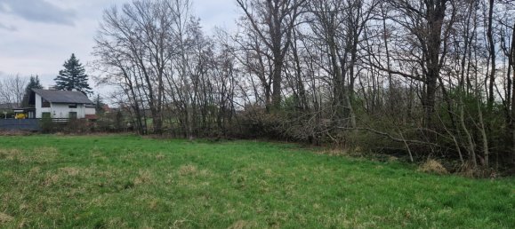  Land in Grafenworth, Austria No. 130487 3