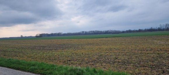  Land in Grafenworth, Austria No. 130487 5