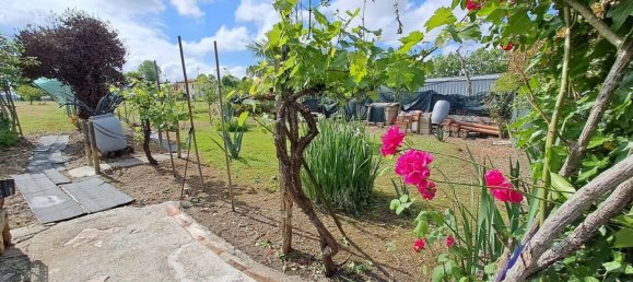 8 bedrooms House in Boara Pisani, Italy No. 344900 24