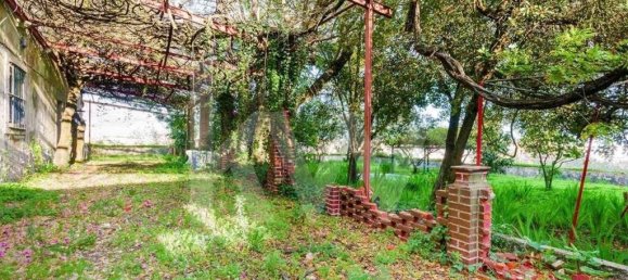 5 bedrooms Land in Setubal, Portugal No. 141542 20