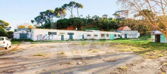 5 bedrooms Land in Setubal, Portugal No. 141542 3