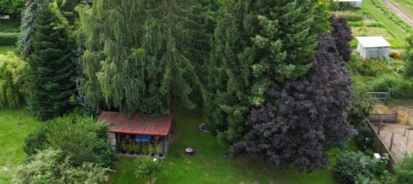 Propiedad comercial de 5 habitaciónes en Oder-Spree, Germany No. 44766 6