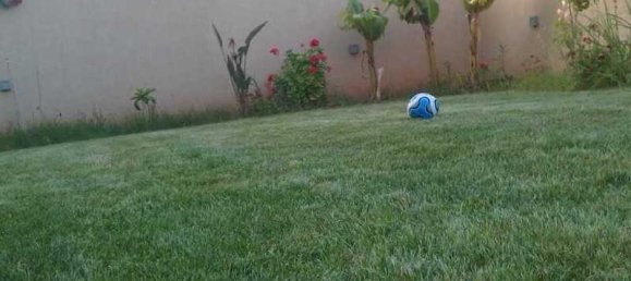 5 Schlafzimmer Haus in Limassol, Cyprus, Nr. 10640 11