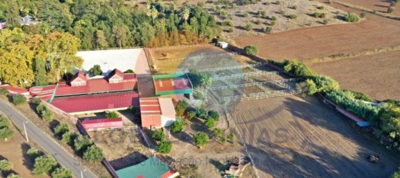 Casa de 8 dormitorios en Elvas, Portugal No. 103764 37