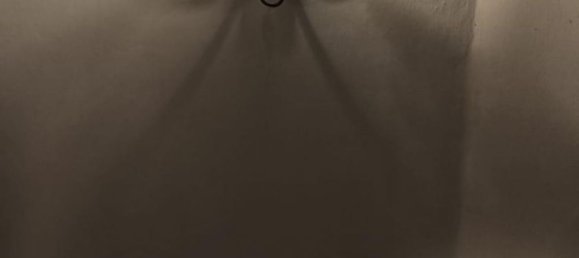 Studio in Pisa, Italy No. 195405 17