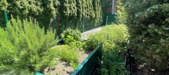 5 rooms House in Bad Voslau, Austria No. 202396 33