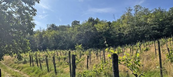 Grundstück in Ponte dell'Olio, Italy 18570m², Nr. 268089 9