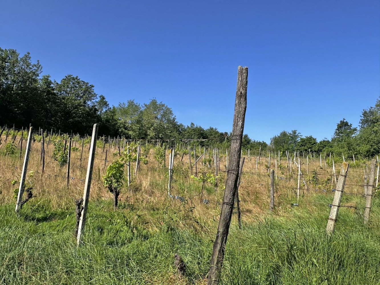 Grundstück in Ponte dell'Olio, Italy 18570m², Nr. 268089