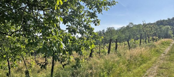 Grundstück in Ponte dell'Olio, Italy 18570m², Nr. 268089 10