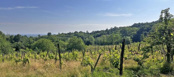 Grundstück in Ponte dell'Olio, Italy 18570m², Nr. 268089 13