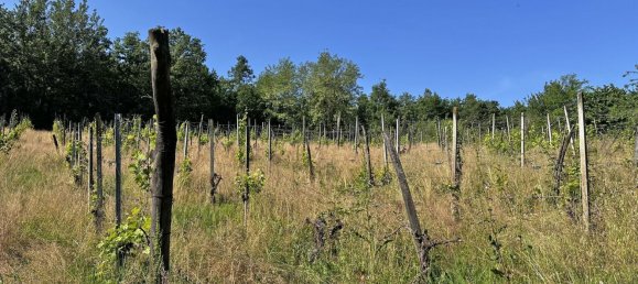 Grundstück in Ponte dell'Olio, Italy 18570m², Nr. 268089 8