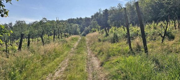 Grundstück in Ponte dell'Olio, Italy 18570m², Nr. 268089 11