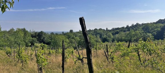 Grundstück in Ponte dell'Olio, Italy 18570m², Nr. 268089 15