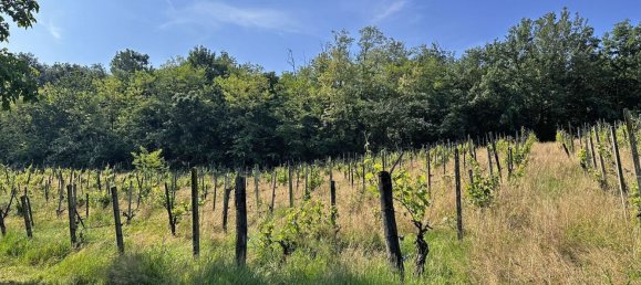 Grundstück in Ponte dell'Olio, Italy 18570m², Nr. 268089 7