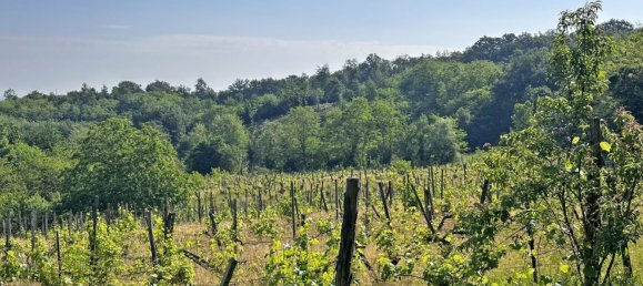 Grundstück in Ponte dell'Olio, Italy 18570m², Nr. 268089 17