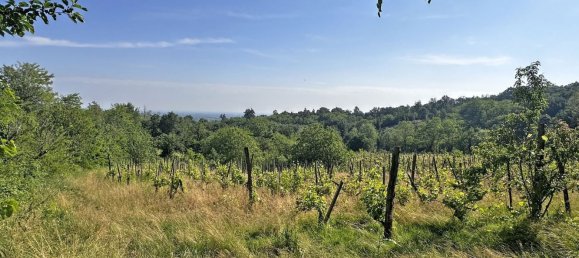 Grundstück in Ponte dell'Olio, Italy 18570m², Nr. 268089 16