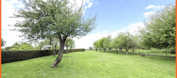 10غرفة منزل في Rhein-Hunsruck, Germany رقم 358919 12