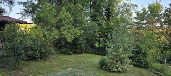 2-Zimmer Haus in Waldkirchen am Wesen, Austria, Nr. 223921 9