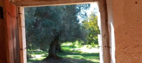 Studio in Carovigno, Italy No. 104722 10