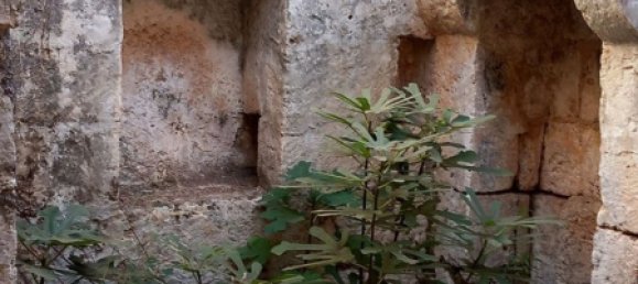 Studio in Carovigno, Italy No. 104722 8