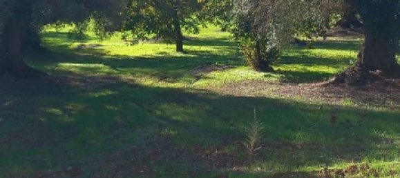 Studio in Carovigno, Italy No. 104722 11