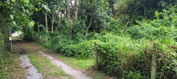 Gewerbliche Immobilie in Bang Lamung, Thailand, Nr. 3506 12