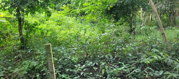 Gewerbliche Immobilie in Bang Lamung, Thailand, Nr. 3506 7