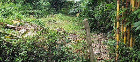 Gewerbliche Immobilie in Bang Lamung, Thailand, Nr. 3506 13