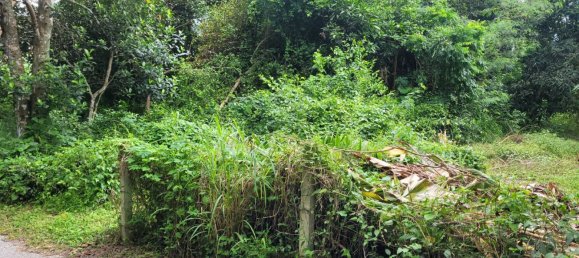 Gewerbliche Immobilie in Bang Lamung, Thailand, Nr. 3506 11