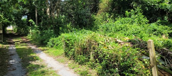 Gewerbliche Immobilie in Bang Lamung, Thailand, Nr. 3506 4