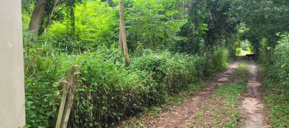 Gewerbliche Immobilie in Bang Lamung, Thailand, Nr. 3506 6