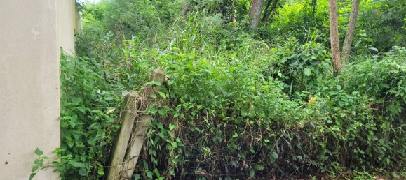 Gewerbliche Immobilie in Bang Lamung, Thailand, Nr. 3506 5