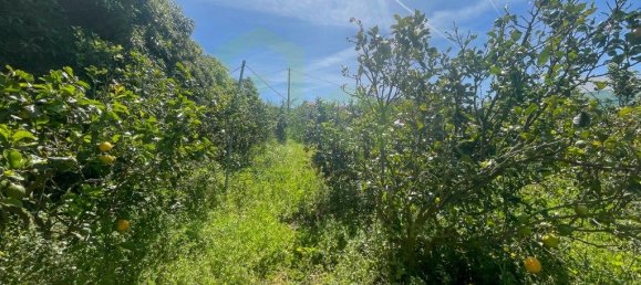 Земельный участок 5625м² в Эрисейра, Португалия № 69201 12