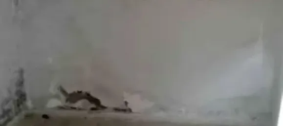 Casa de 6 dormitorios en Alzira, Spain No. 105469 7