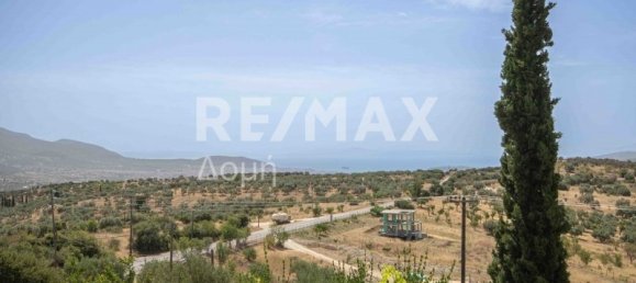 3 bedrooms Commercial property in Magnesia, Greece No. 302 24