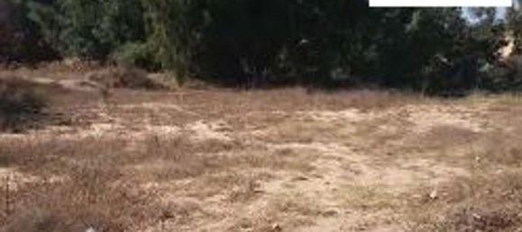 2190m² Land in Tortolì, Italy No. 135151 5