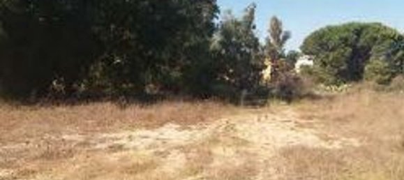 2190m² Land in Tortolì, Italy No. 135151 6