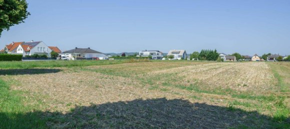 Grundstück in Deutschkreutz, Austria, Nr. 221725 5