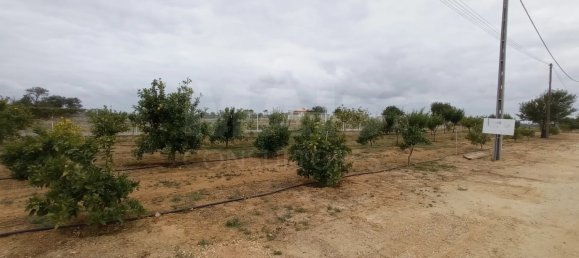 Hotel in Albufeira, Portugal, Nr. 10074 4