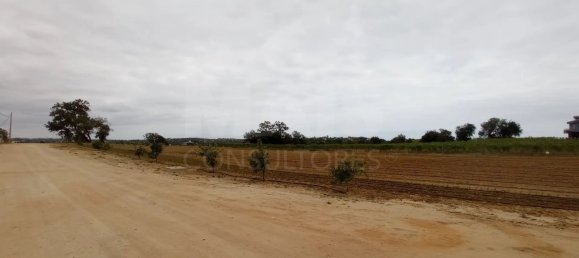 Hotel in Albufeira, Portugal, Nr. 10074 3