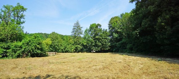 Terrain à Pressbaum, Austria No. 90801 6