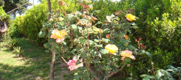 9 rooms Villa in Cingoli, Italy No. 128228 29