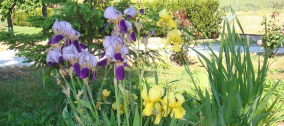 9 rooms Villa in Cingoli, Italy No. 128228 34