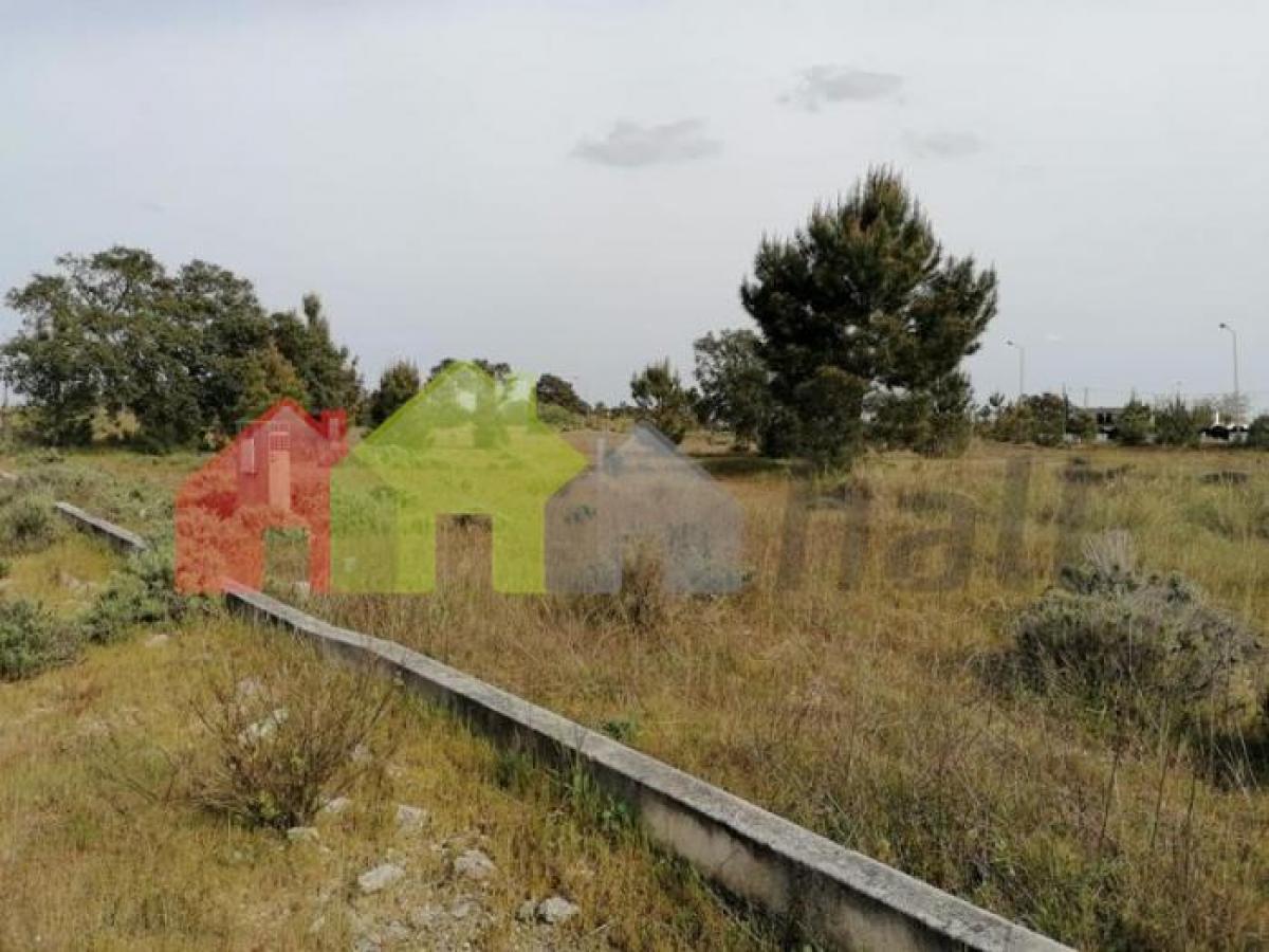 Terreno de 1 dormitorio en Palmela, Portugal No. 8592