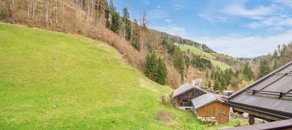 Studio in Unken, Austria No. 88632 3